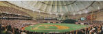 Tampa Bay Devil Rays: First Pitch at Tropicana Field