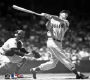 View Details for Ted Williams "The Swing" Photograph