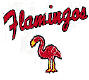 1953 Miami Beach Flamingos Baseball Jersey