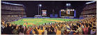 View All MLB Baseball Stadiums Posters
