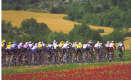 Le Tour de France [Lance Armstrong]