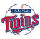 Minnesota Twins logo